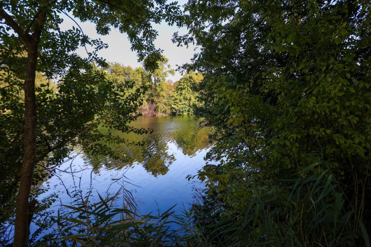 Le Saint Martin #Centre Ville #Charente #6Pers 干邑 外观 照片